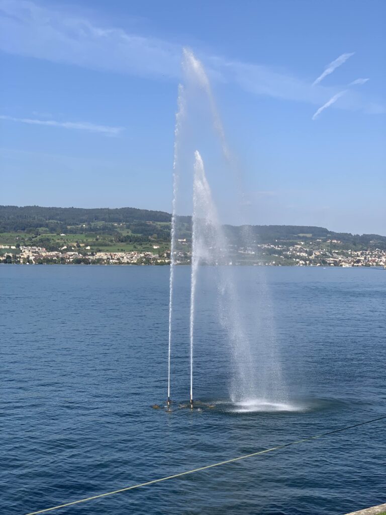 Horgen10