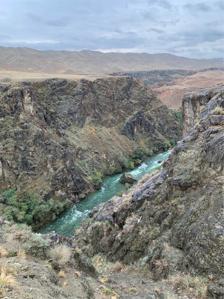 Canyonnero