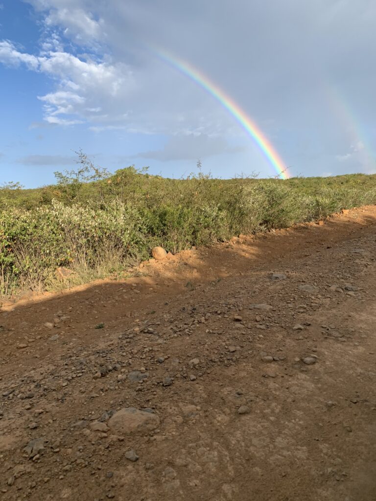 Arcobaleno