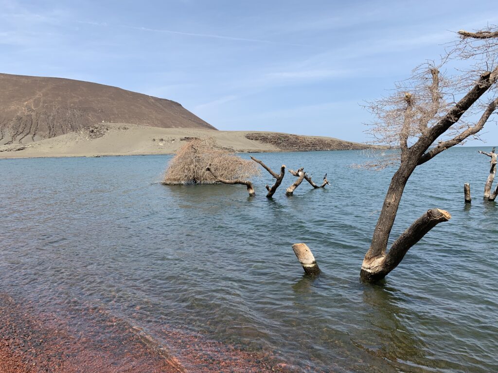 Turkana3